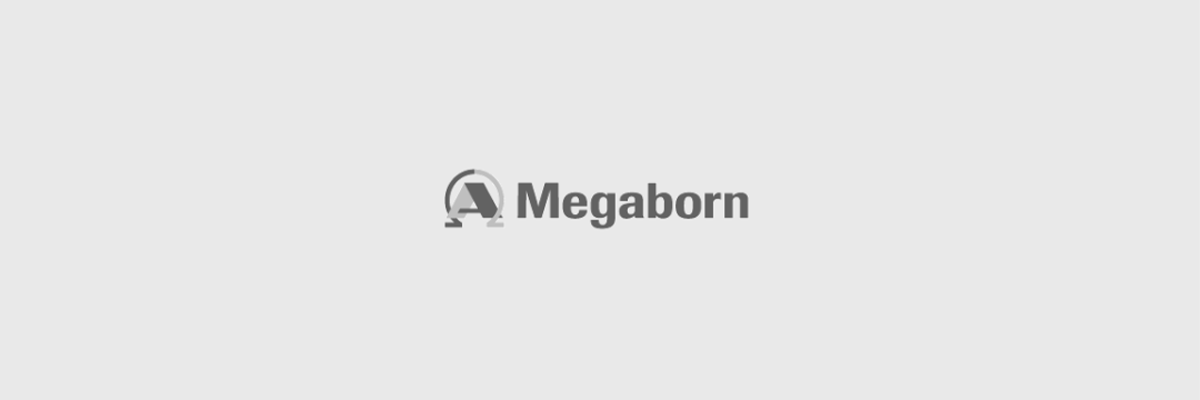 Visie en missie Megaborn