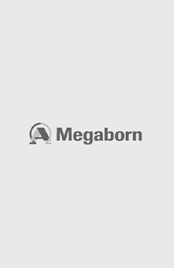 Megaborn start pilot multikokers met Gemeente Alphen a/d Rijn voor regie in de ondergrond